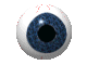 an eyeball looking around